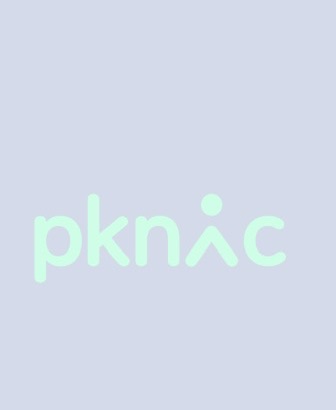 PKNIC Logo